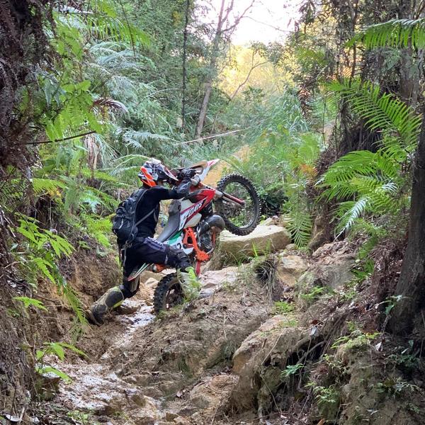 幸福夏琳1T2头像