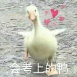 法兰西甜玫瑰头像