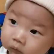 lipper的个人资料头像