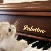 bigbigsquirrel的个人资料头像