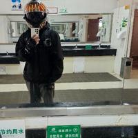 LYZ375头像