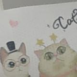 热情喜鹊KGc头像