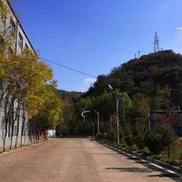 为生活忙碌7头像