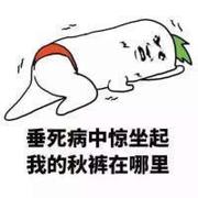 喀秋莎乌拉的个人资料头像