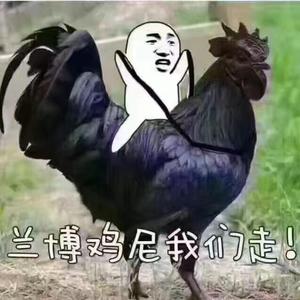 乐天派庄河0G头像