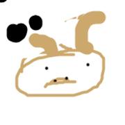 kkkzzz的个人资料头像