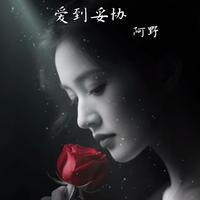 随性自由的青山qne头像