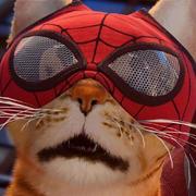 Mulander的个人资料头像