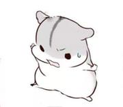 BD青训营的个人资料头像