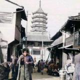 知情达理阳光ZuS头像