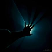 诞灵的个人资料头像