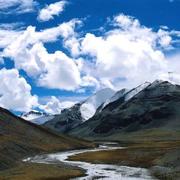 李哲863的个人资料头像