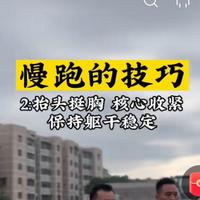 极地兽科技头像