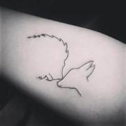 ramemoryLin的个人资料头像