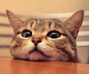 locki的个人资料头像