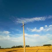 悠然678的个人资料头像