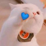 回憶太矯情。头像