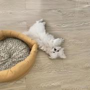 不写代码的代码人的个人资料头像