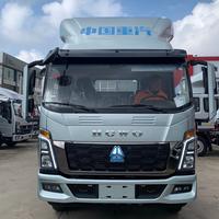 外向花猫DNG头像