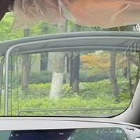 如此的不同568头像