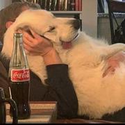 用户8426520013671的个人资料头像