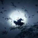 我是奋斗好青年的个人资料头像