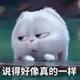思念_244015275头像