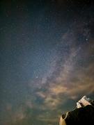 摸鱼担当的个人资料头像