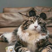 廖新太的个人资料头像