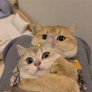 用户7950159968207的个人资料头像