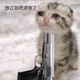一只白九头像