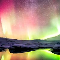 幸福海燕gLp头像