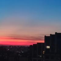 都梁切图崽头像