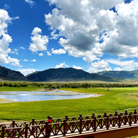 缤纷海洋lu头像