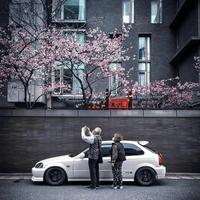 一杯冰美式不加奶头像