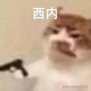 正茂风华的个人资料头像