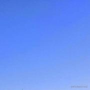 admin皮卡的个人资料头像