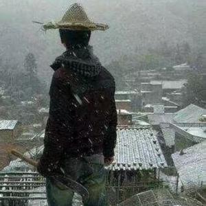 阿兜小七头像