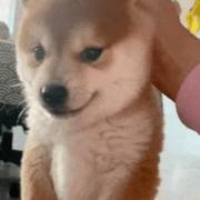 哪敢啊的个人资料头像