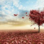 尛翔冂學的个人资料头像