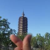 云星198头像