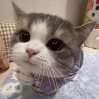 可乐31613头像