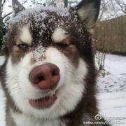 代码小超人的个人资料头像