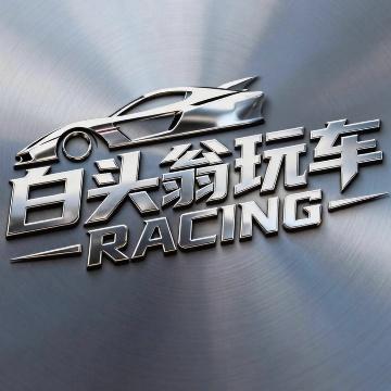 白头翁玩车头像