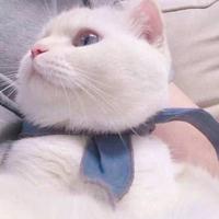 健健Love舟舟头像