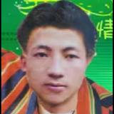 梦中有你wkch头像