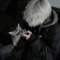 直率糯米l9I头像