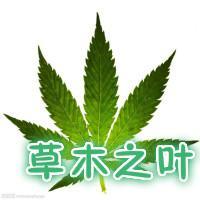 草木之叶头像