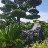 羅先生4l4a头像