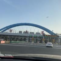 远方的家D8cR头像